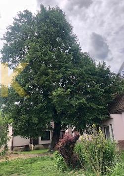 Dražba domu - Hnanice — fotka 20