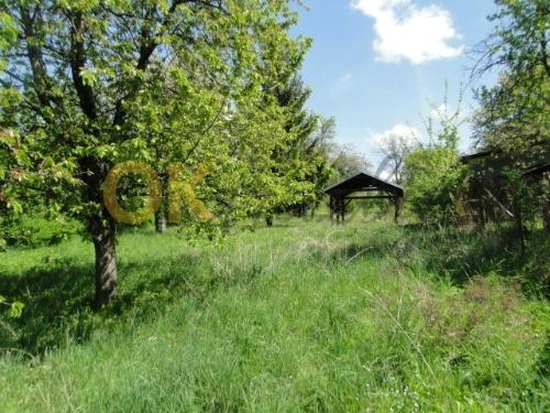 Dražba zemědělského objektu - Lipová — fotka 10