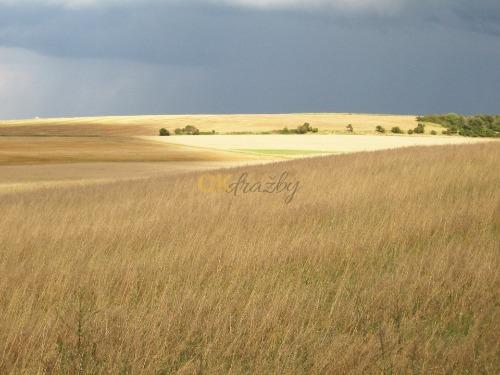 Dražba pozemku - Kozomín — fotka 5