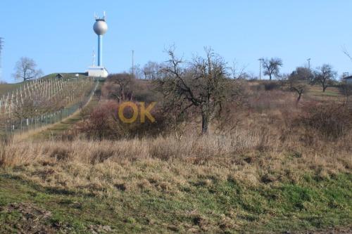 Dražba pozemku - Hrušovany nad Jevišovkou