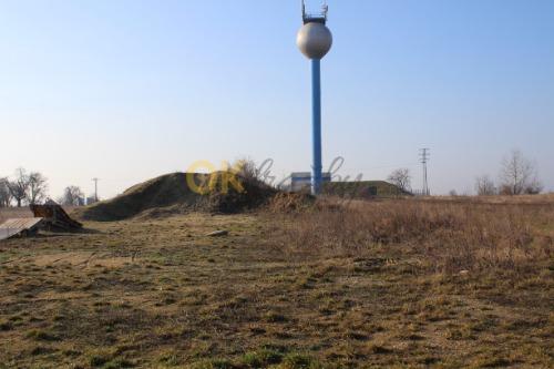 Dražba pozemku - Hrušovany nad Jevišovkou — fotka 3