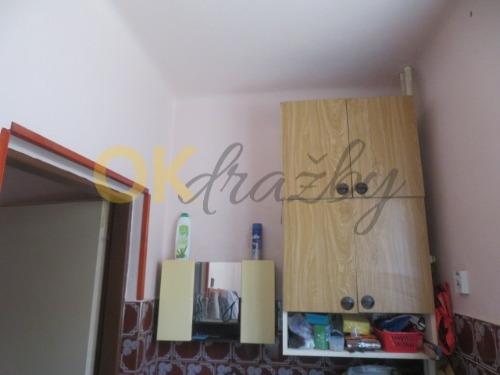 Dražba domu - Břežany — fotka 21