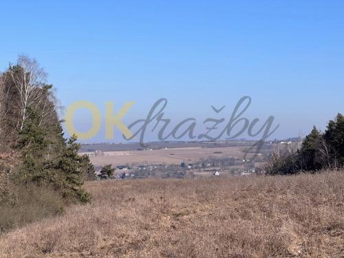 Dražba pozemku - Týn nad Vltavou