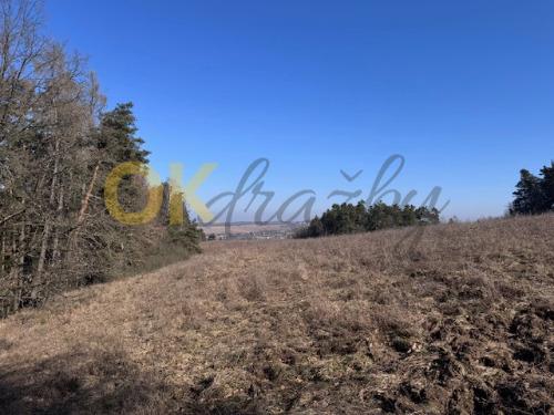 Dražba pozemku - Týn nad Vltavou — fotka 2