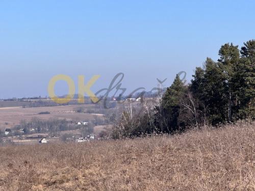 Dražba pozemku - Týn nad Vltavou — fotka 4