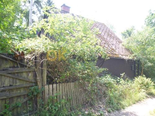 Dražba chaty - Hradec Králové — fotka 2