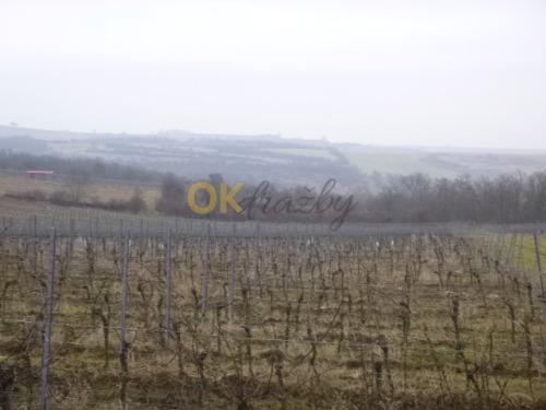 Dražba pozemku - Syrovín — fotka 3