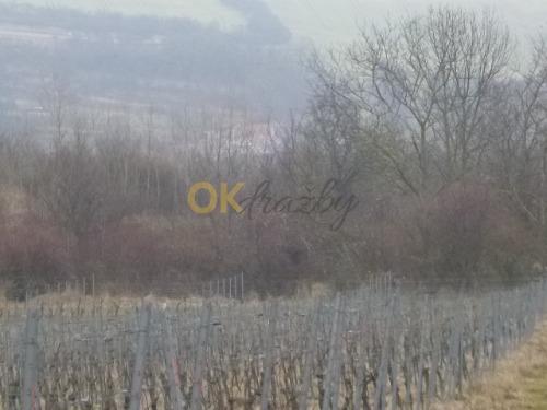 Dražba pozemku - Syrovín — fotka 5