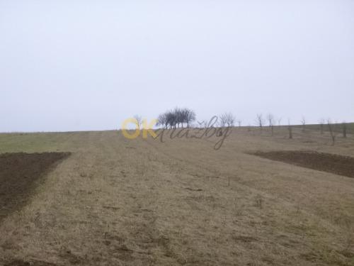 Dražba pozemku - Syrovín — fotka 6