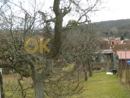 Dražba pozemku - Želešice — fotka 9