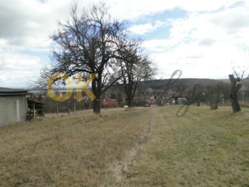 Dražba pozemku - Želešice — fotka 13