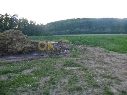 Dražba pozemku - Trhový Štěpánov — fotka 2