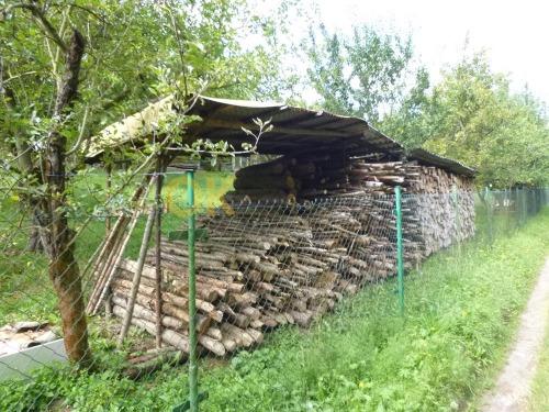 Dražba komerčního prostoru - Pavlíkov — fotka 33