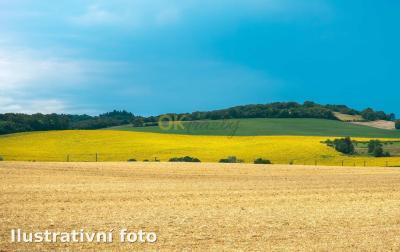 Dražba pozemku - Lovečkovice — fotka 2