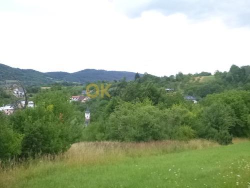 Dražba domu - Študlov — fotka 7