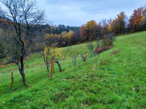 Dražba pozemku - Seninka — fotka 3