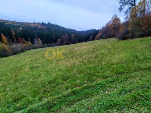 Dražba pozemku - Seninka — fotka 2