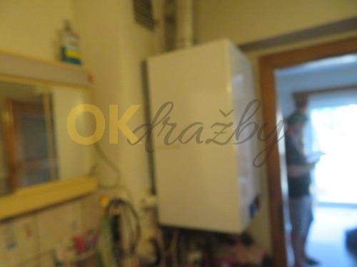 Dražba domu - Chotěšov — fotka 32