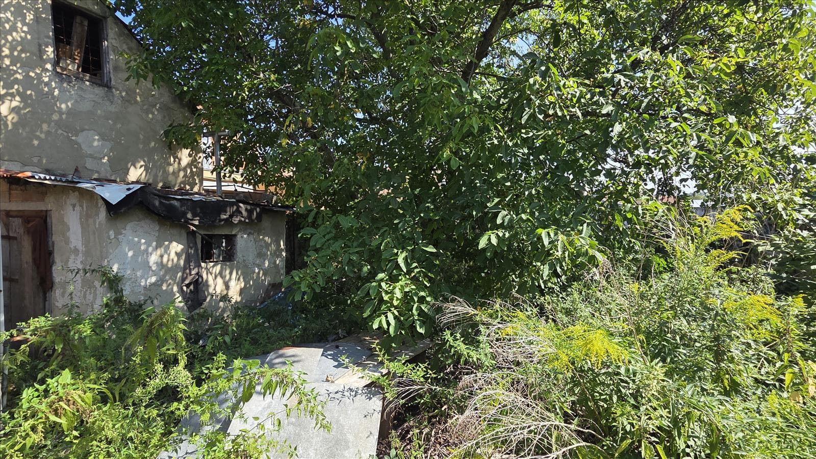 Dražba pozemku - Brno — fotka 6